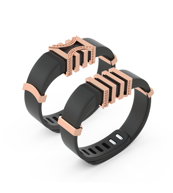 Blingtec fitbit product